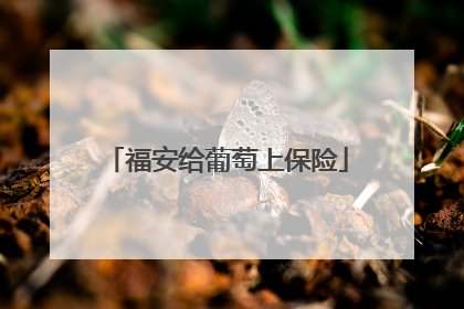 福安给葡萄上保险