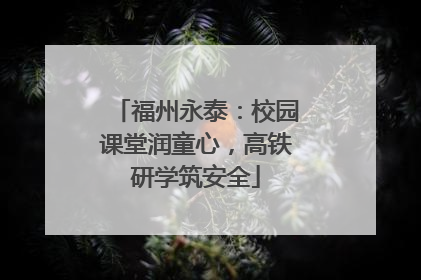 福州永泰：校园课堂润童心，高铁研学筑安全