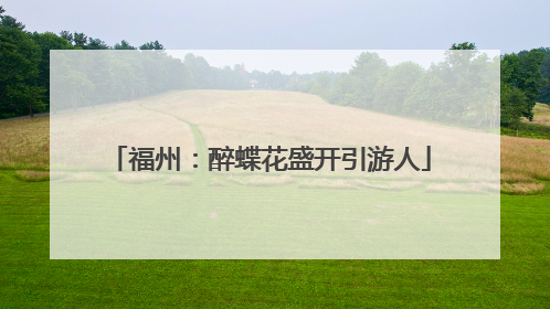 福州：醉蝶花盛开引游人
