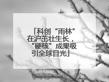 科创“雨林”在沪茁壮生长，“硬核”成果吸引全球目光