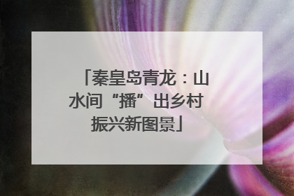 秦皇岛青龙：山水间“播”出乡村振兴新图景