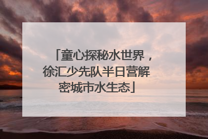 童心探秘水世界，徐汇少先队半日营解密城市水生态