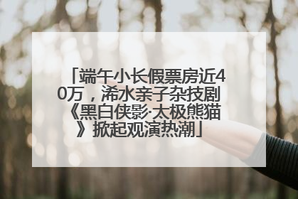 端午小长假票房近40万，浠水亲子杂技剧《黑白侠影·太极熊猫》掀起观演热潮