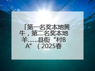 第一名奖本地黄牛，第二名奖本地羊……县街“村BA”（2025春季赛）圆满完赛