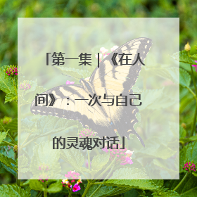 第一集|《在人间》:一次与自己的灵魂对话