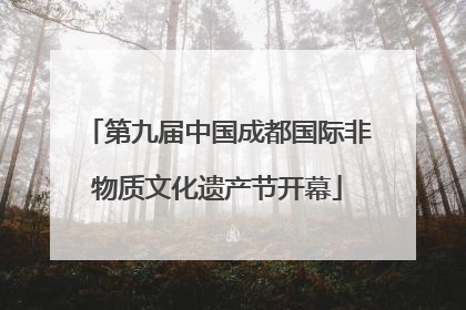 第九届中国成都国际非物质文化遗产节开幕