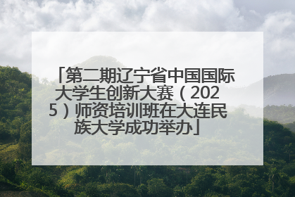 第二期辽宁省中国国际大学生创新大赛（2025）师资培训班在大连民族大学成功举办