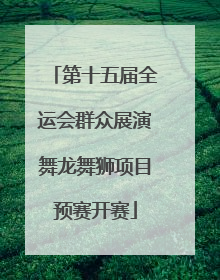 第十五届全运会群众展演舞龙舞狮项目预赛开赛