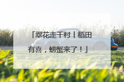 翠花走千村丨稻田有喜，螃蟹来了！