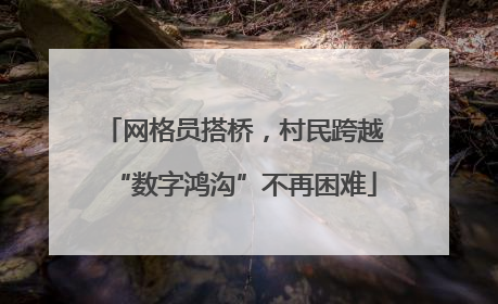 网格员搭桥，村民跨越“数字鸿沟”不再困难