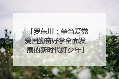 罗东川：争当爱党爱国勤奋好学全面发展的新时代好少年