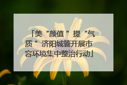 美“颜值 ”提“气质 ”济阳城管开展市容环境集中整治行动
