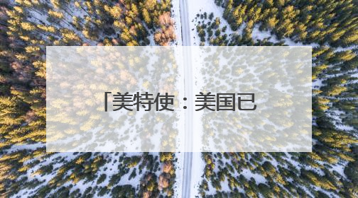 美特使：美国已开始减少在叙利亚的军事存在
