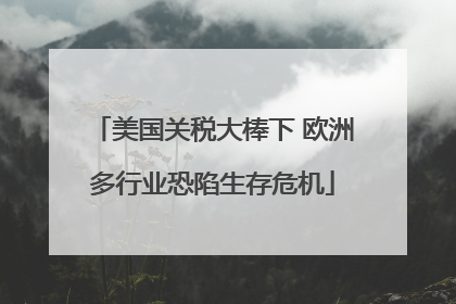 美国关税大棒下 欧洲多行业恐陷生存危机