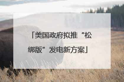 美国政府拟推“松绑版”发电新方案