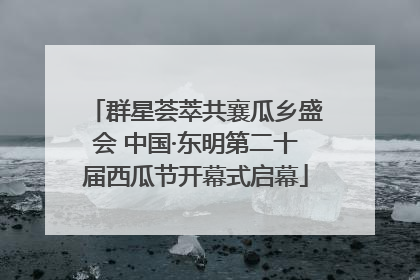 群星荟萃共襄瓜乡盛会 中国·东明第二十届西瓜节开幕式启幕