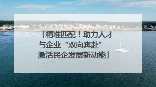 精准匹配！助力人才与企业“双向奔赴” 激活民企发展新动能