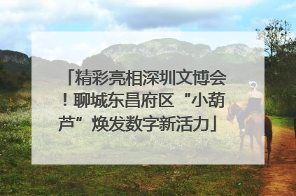 精彩亮相深圳文博会！聊城东昌府区“小葫芦”焕发数字新活力