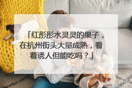 红彤彤水灵灵的果子，在杭州街头大量成熟，看着诱人但能吃吗？