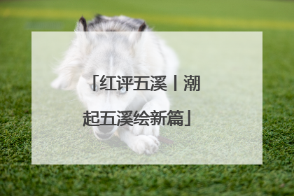 红评五溪丨潮起五溪绘新篇