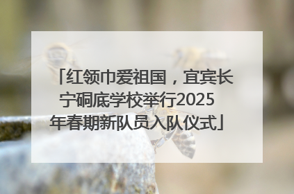 红领巾爱祖国，宜宾长宁硐底学校举行2025年春期新队员入队仪式
