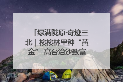 绿满陇原·奇迹三北｜梭梭林里种“黄金” 高台治沙致富很“从容”