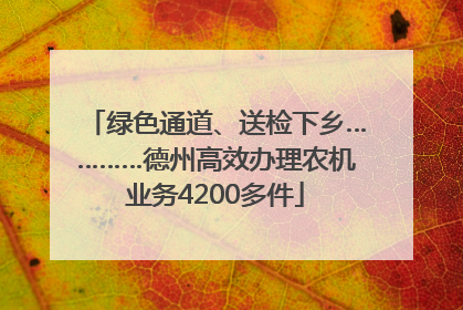 绿色通道、送检下乡…………德州高效办理农机业务4200多件