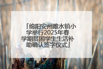 绵阳安州雎水镇小学举行2025年春学期贫困学生生活补助确认签字仪式