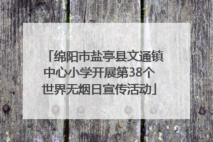 绵阳市盐亭县文通镇中心小学开展第38个世界无烟日宣传活动