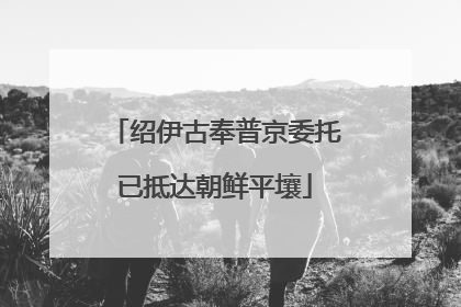 绍伊古奉普京委托已抵达朝鲜平壤