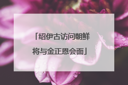 绍伊古访问朝鲜 将与金正恩会面
