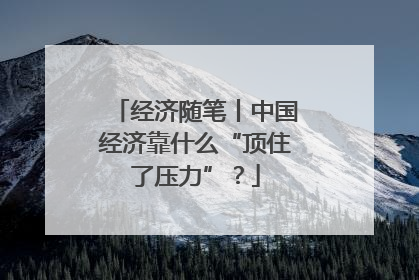 经济随笔丨中国经济靠什么“顶住了压力”？