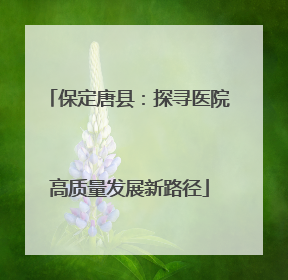 保定唐县：探寻医院高质量发展新路径