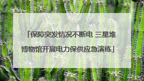 保障突发情况不断电 三星堆博物馆开展电力保供应急演练