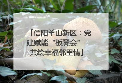 信阳羊山新区：党建赋能“板凳会” 共绘幸福邻里情