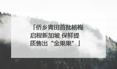 侨乡青田首批杨梅启程新加坡 保鲜提质售出“金果果”
