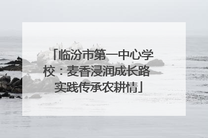 临汾市第一中心学校：麦香浸润成长路 实践传承农耕情