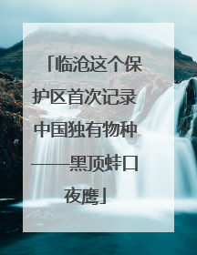 临沧这个保护区首次记录中国独有物种——黑顶蛙口夜鹰