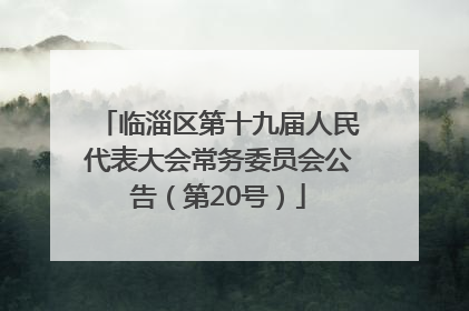 临淄区第十九届人民代表大会常务委员会公告（第20号）