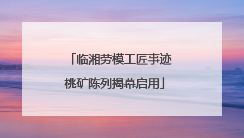 临湘劳模工匠事迹桃矿陈列揭幕启用