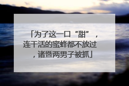 为了这一口“甜”，连干活的蜜蜂都不放过，诸暨两男子被抓