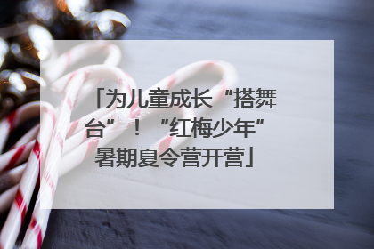 为儿童成长“搭舞台”！“红梅少年”暑期夏令营开营
