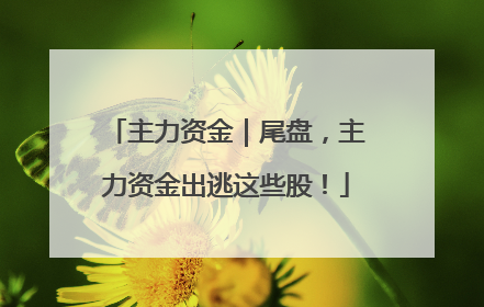 主力资金｜尾盘，主力资金出逃这些股！