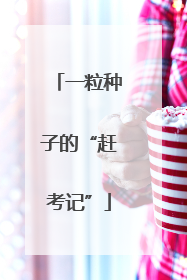 一粒种子的“赶考记”