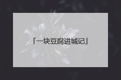 一块豆腐进城记