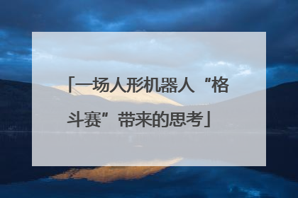 一场人形机器人“格斗赛”带来的思考