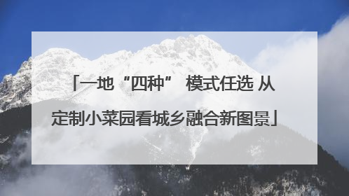 一地“四种” 模式任选 从定制小菜园看城乡融合新图景