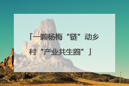 一颗杨梅“链”动乡村“产业共生圈”
