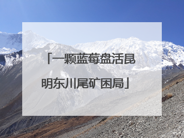 一颗蓝莓盘活昆明东川尾矿困局