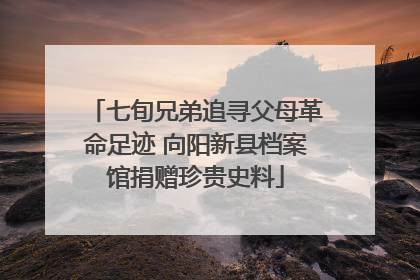 七旬兄弟追寻父母革命足迹 向阳新县档案馆捐赠珍贵史料